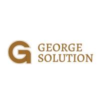 Georgesolution george  stone